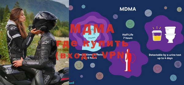 прущие грибы Надым