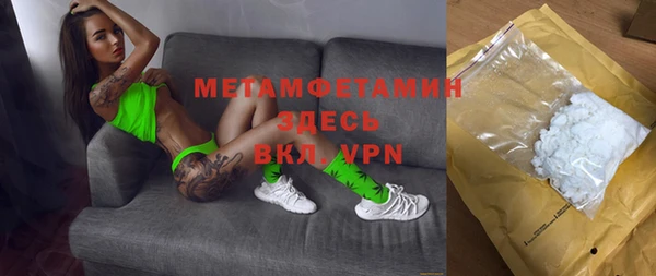 прущие грибы Надым