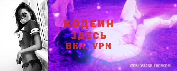 прущие грибы Надым