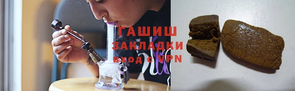 прущие грибы Надым
