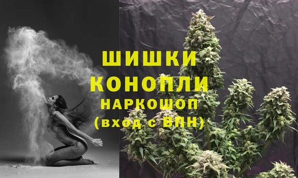 гидра Наволоки