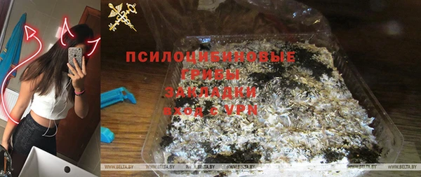 прущие грибы Надым