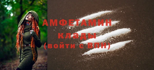 прущие грибы Надым