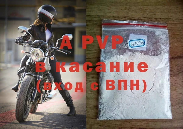 прущие грибы Надым